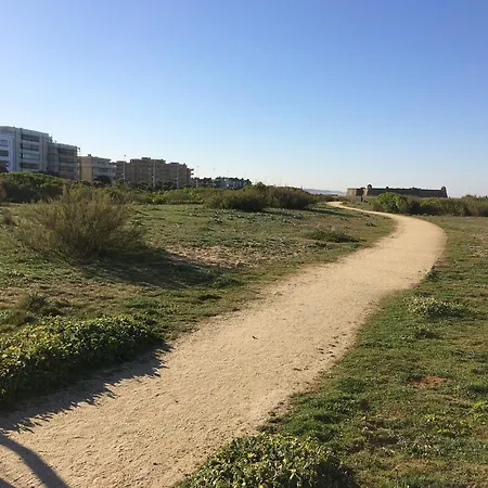 Azul * ヴィラ・ド・コンデ